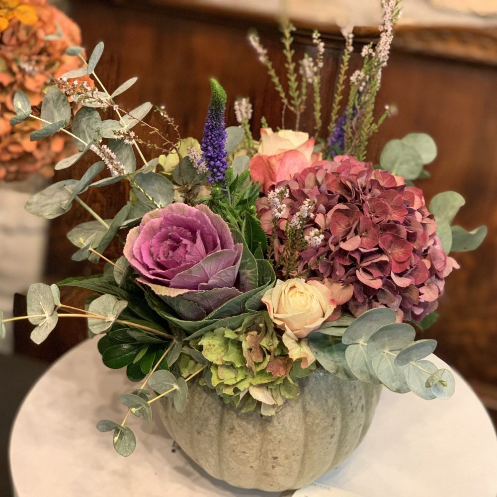 Zucca Fiorita – da Piccola a Grande