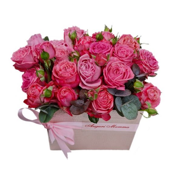 Rose Polyanta in scatola elegante 2