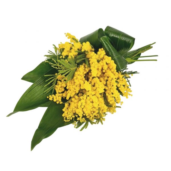 Bouquet di Mimosa Armani / Fiori consegna a domicilio con Cosaporto