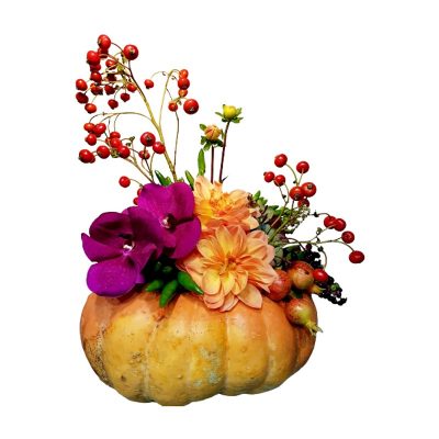 Zucca Fiorita di Halloween Dimension Flowers consegna a domicilio con Cosaporto.it