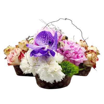 Colomba Fiorita - Dimensioni Flowers