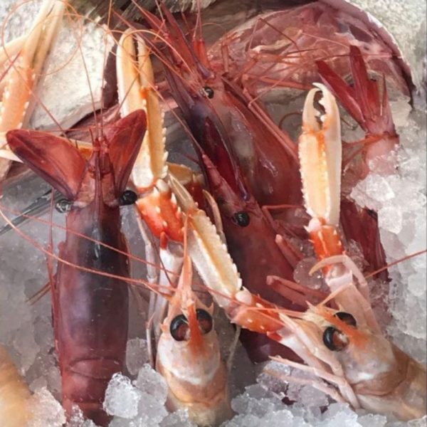 Gamberi di Santa Margherita