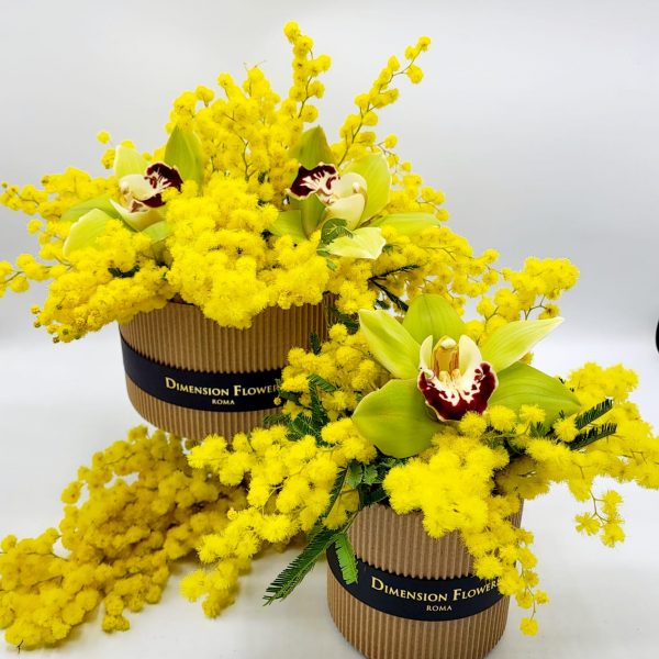 Speciale 8 Marzo cappelliera di dimension flowers - piccola/media