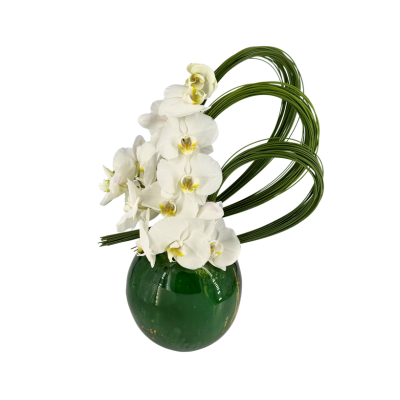 Vaso sferico Vertido Lava Verde con Orchidea Phalenopsis e Flexigrass 1