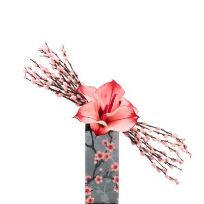 Composizione di Anthurium e Salix 1