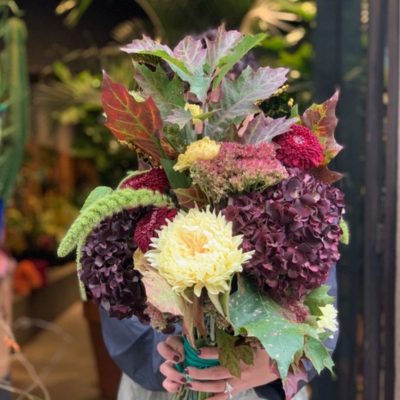 Mazzolino Spontaneo 3